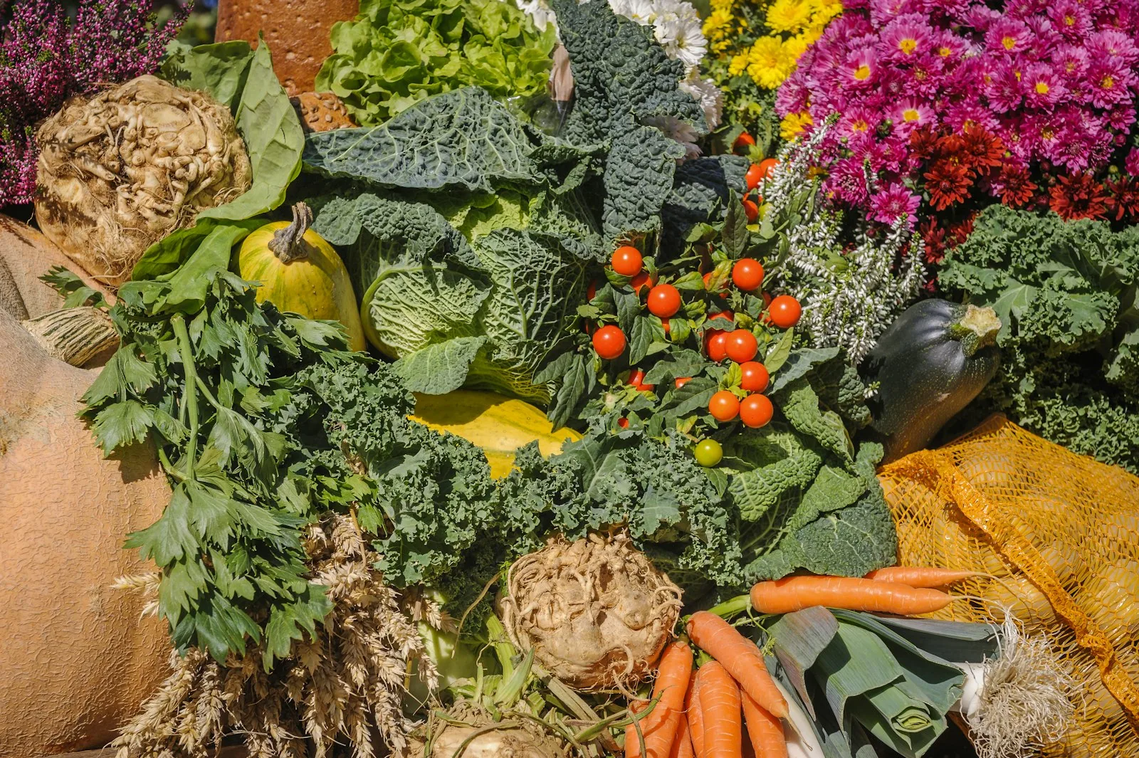 autumn harvest vegetables in garden