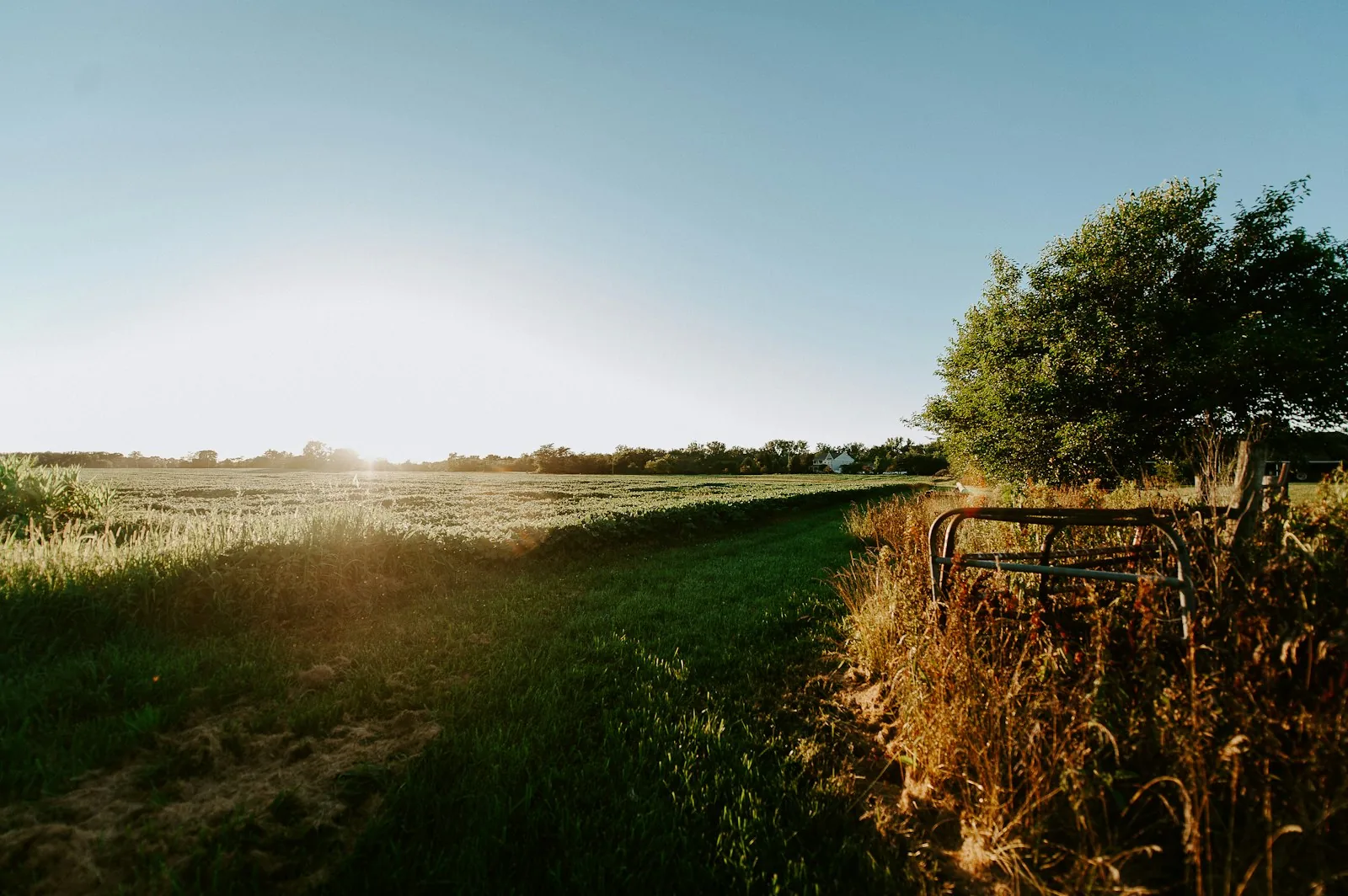 A pastoral Midwest farm field under a wide sky