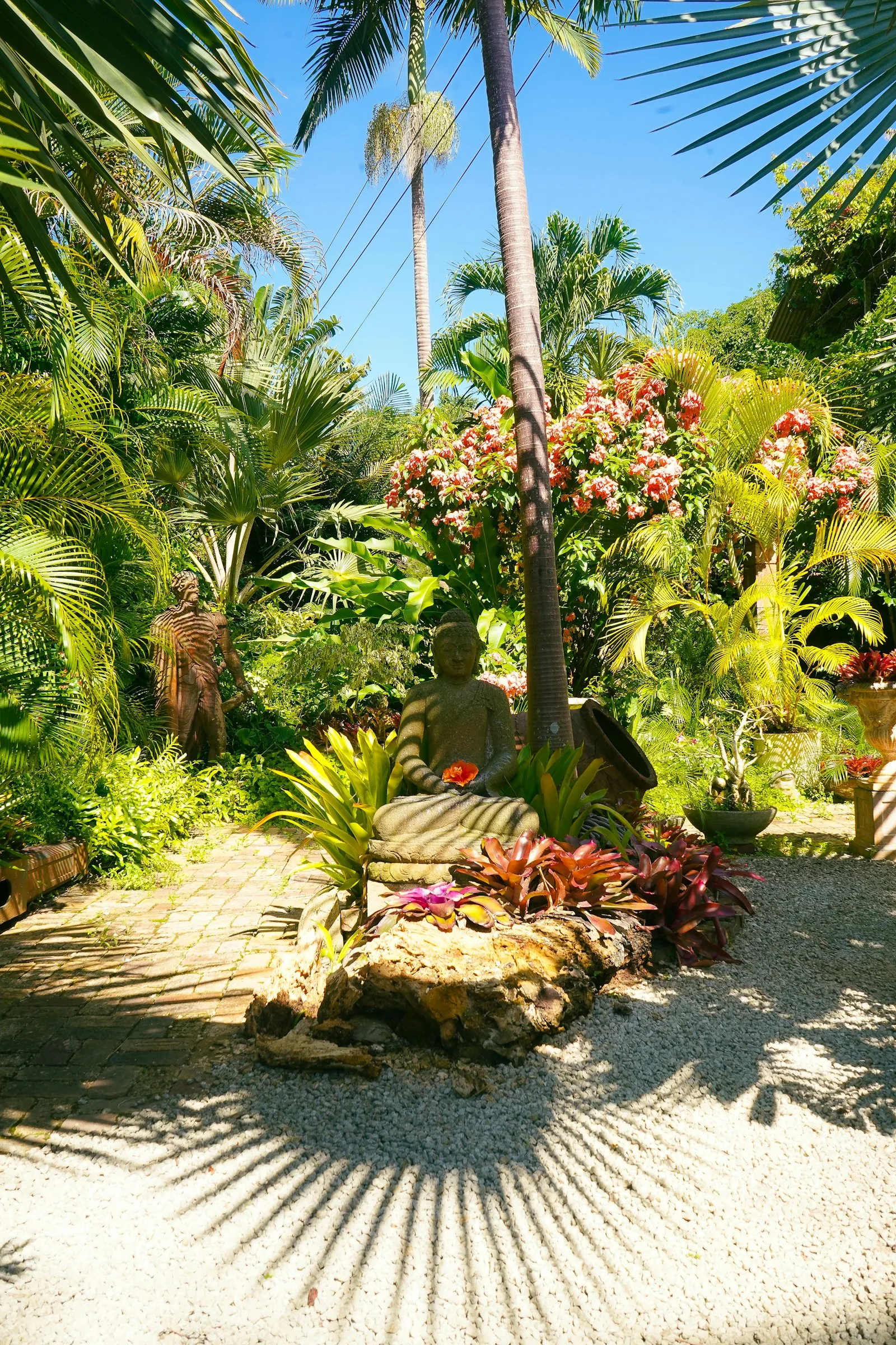 A tropical garden with palm trees and flowers
