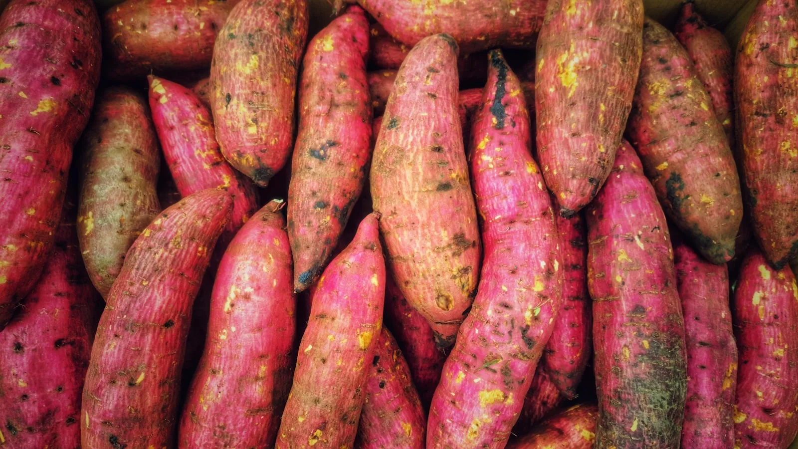 a pile of pink and yellow sweet potatoes