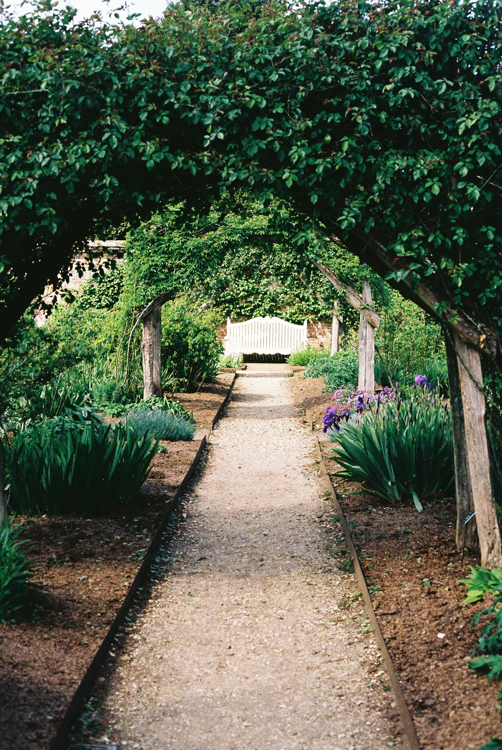 A beautiful garden bench under a lush arbor